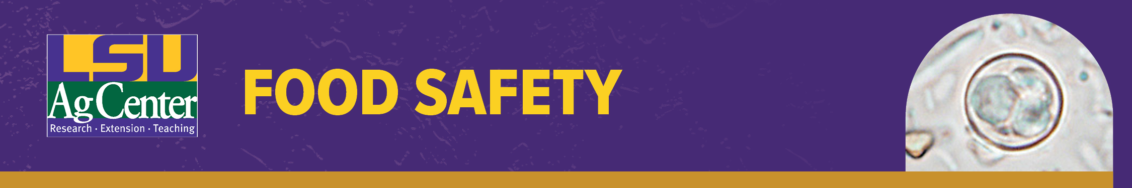 banner image that says Food Safety with image of a microscopic parasite 